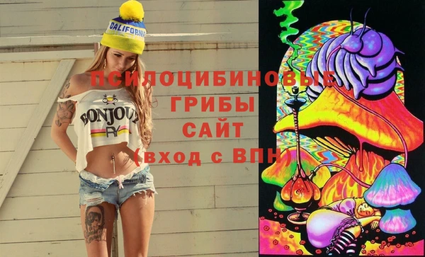 ПСИЛОЦИБИНОВЫЕ ГРИБЫ Алзамай