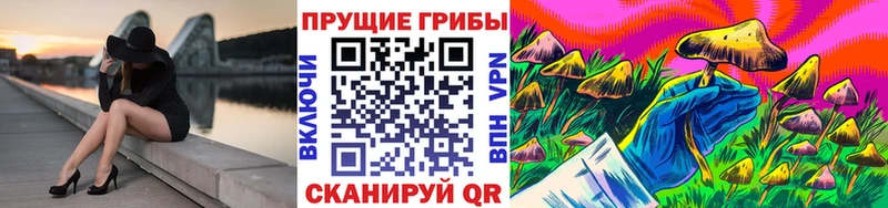 Галлюциногенные грибы Psilocybe  наркота  Уфа 